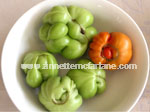 Catfacing deformity on tomatoes